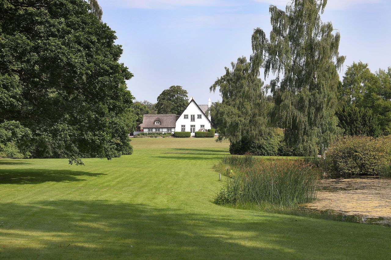 image 04